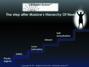 What is LifeSpider System