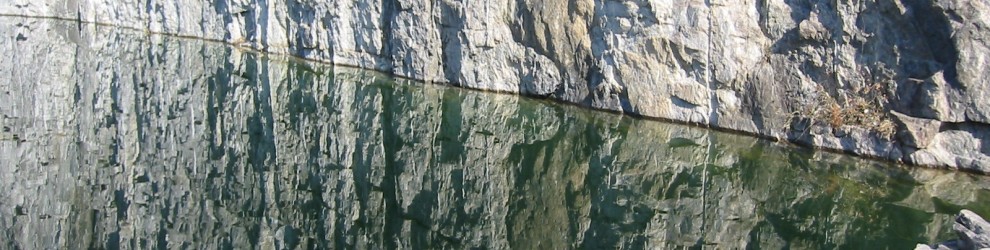 Lifecompetence Transparency
