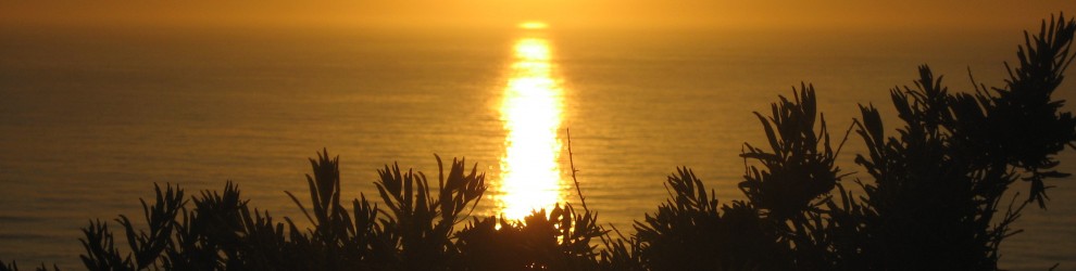 Lifecompetence Power