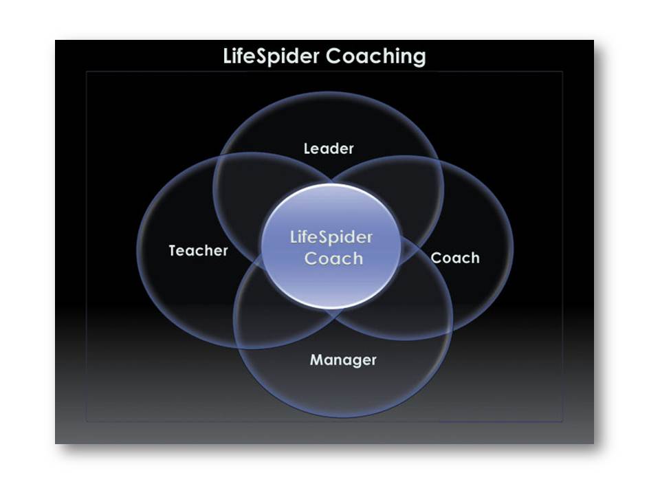 Become a LifeSpider Coach